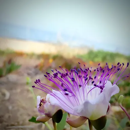 Appartamento Maracaibo Flat Noto