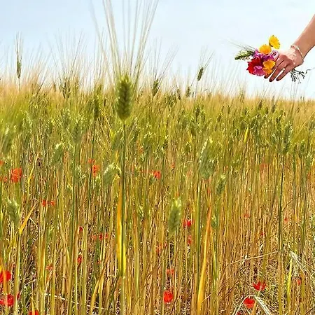 Maracaibo Flat Appartamento *